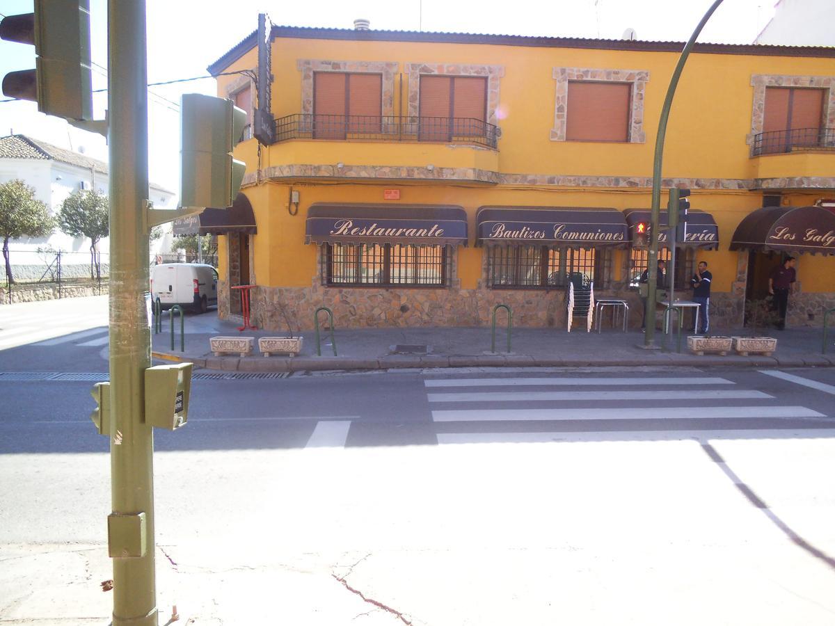 Hostal Los Galgos Yepes Luaran gambar
